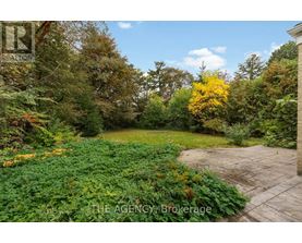 A garden with a brick pathway and a variety of plants and trees.