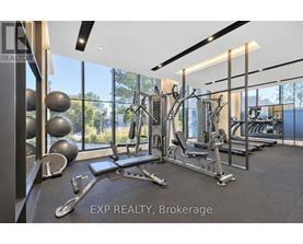 A gym with a variety of equipment including a leg press machine, a chest press machine, a lat pulldown machine, a squat rack, a bench press, a cable machine, a rowing machine, a tread