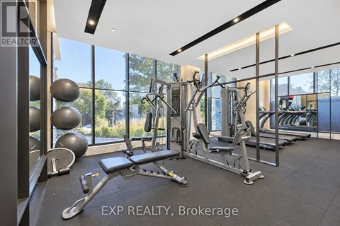 A gym with a variety of equipment including a leg press machine, a chest press machine, a lat pulldown machine, a squat rack, a bench press, a cable machine, a rowing machine, a tread