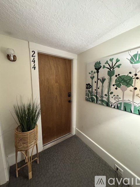 A room with a door and a plant in a basket.