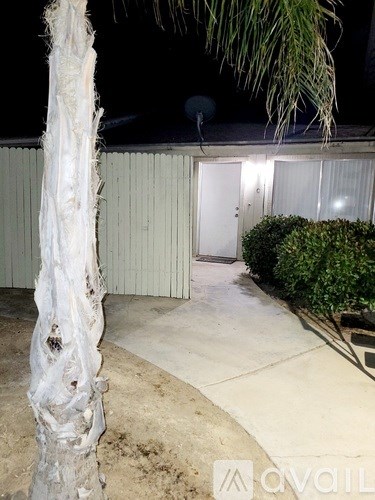 A tree covered in white netting stands in a backyard.