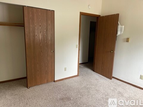 Two brown doors in a room with carpeted floor.