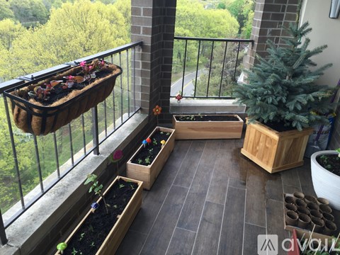 A balcony with a hanging planter, a small tree, and several other planters on the floor.