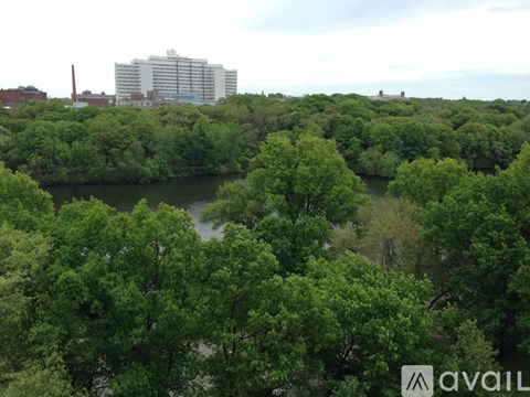 A view of a green forest with a body of water and a building in the background.