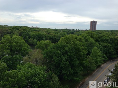A lush green forest with a road and a building in the distance.