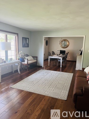 A living room with a brown couch and a rug in the middle.