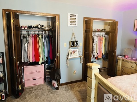 A bedroom with a large closet and a bed.