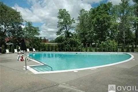 A large outdoor swimming pool surrounded by trees.