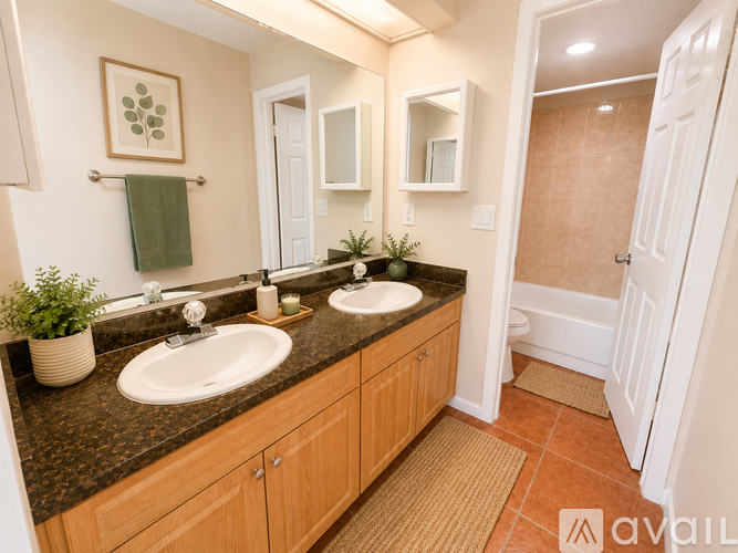 208 S Habana Ave 2 Beds Apartment for Rent - Photo gallery 3
