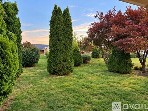 A garden with a variety of trees and shrubs.