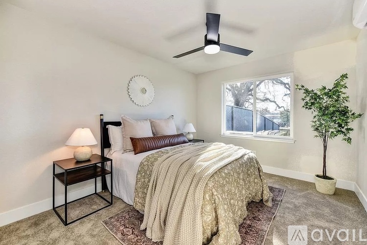 A bedroom with a bed, a ceiling fan, and a small potted plant.