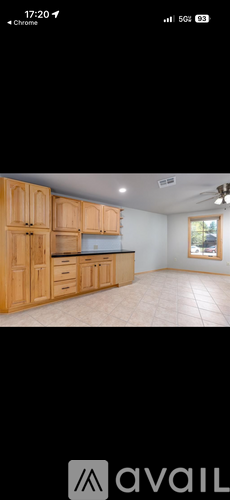 A kitchen with wooden cabinets and a window.
