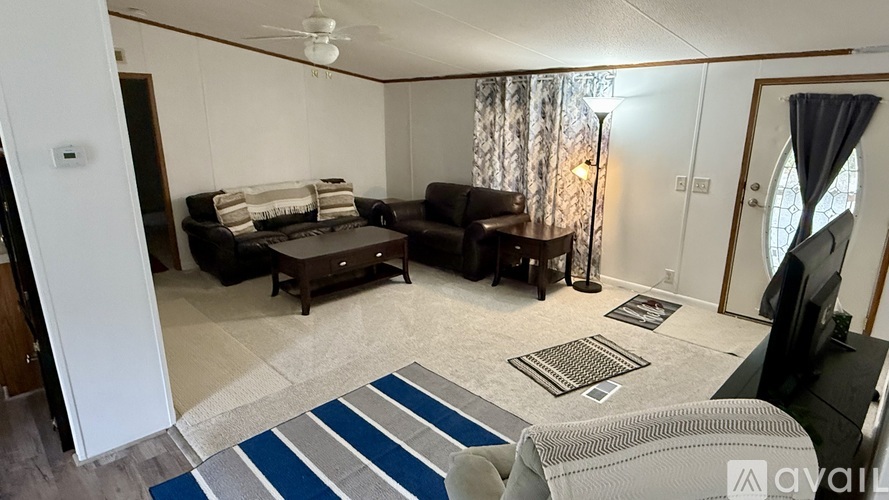 A living room with a brown couch and a blue rug.