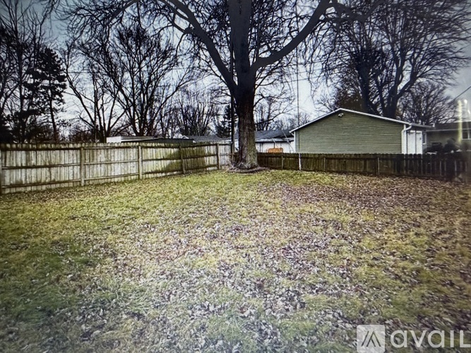 A backyard with a fence and a tree.