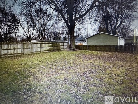 A backyard with a fence and a tree.