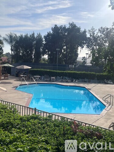 A pool surrounded by greenery and a fence.