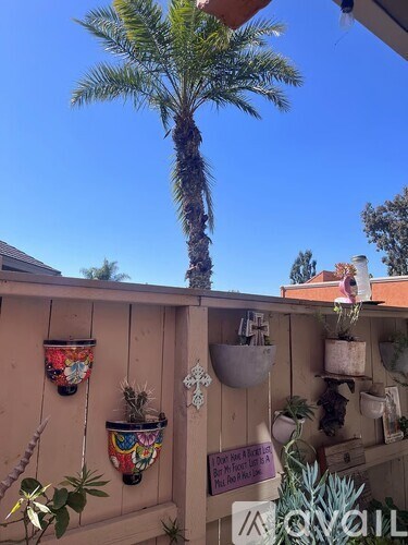 A wooden fence with a sign that says "Aloe Vera" and a palm tree in the background.