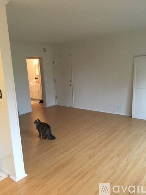 A cat is sitting on a wooden floor in a room.