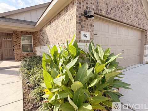 517 Longmount Cove 3 Beds Apartment for Rent