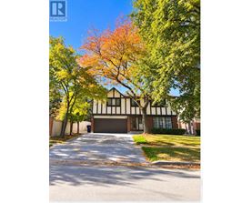 A tree with orange leaves is in front of a black and white building.