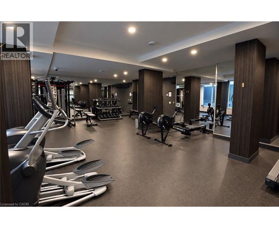 A gym with treadmills, weights, and exercise equipment.