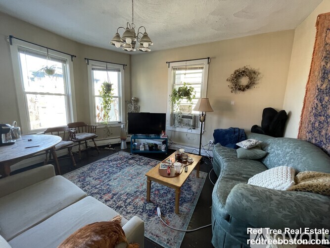 A living room with a couch, a coffee table, and a television.