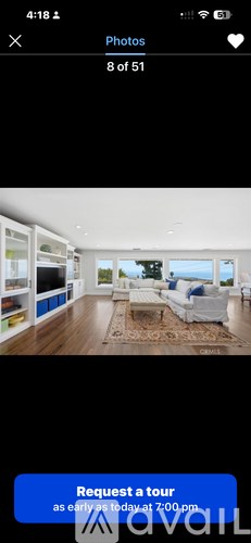 A living room with a couch and a rug.