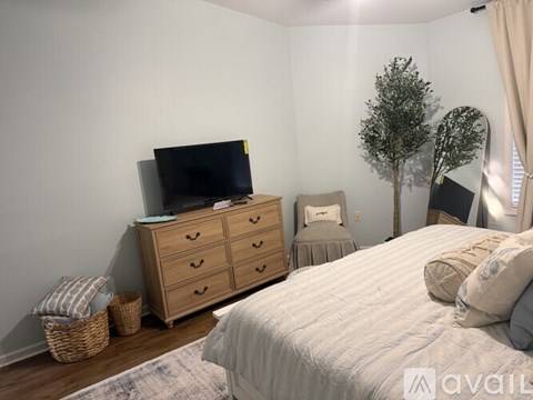 A bedroom with a bed, a dresser with a television on top, a chair, and a small tree.