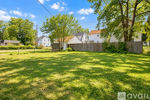 A sunny day in a green backyard with a fence and trees.