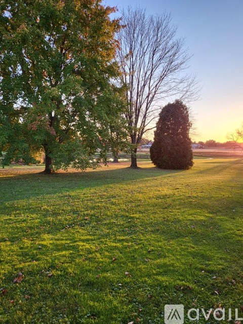 A grassy field with trees and a sunset in the background.