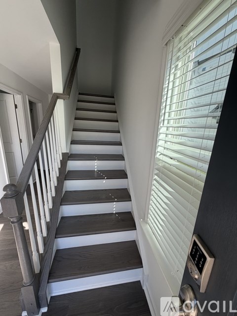 1842 Alexander Village Main Dr 4 Beds Apartment for Rent