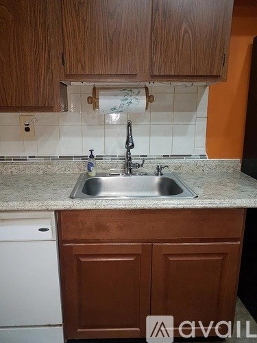 A kitchen with a sink and a dishwasher.