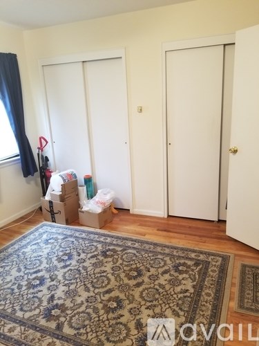 A room with a rug and two white doors.