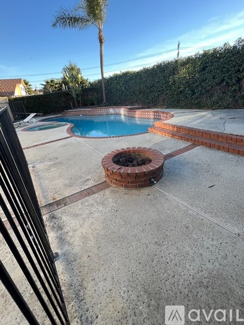 A pool with a brick border and a palm tree in the background.