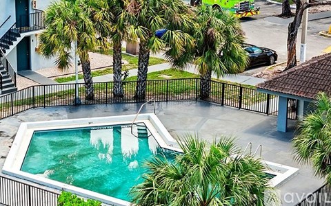A pool surrounded by palm trees and a black fence.