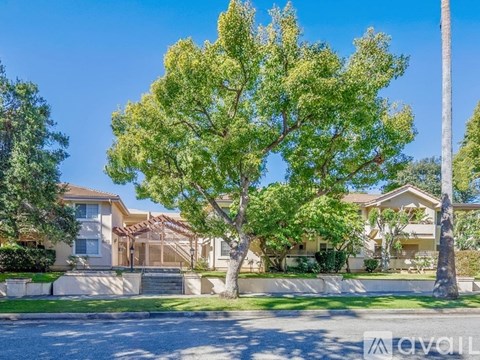 A tree in front of a house with a clear blue sky.