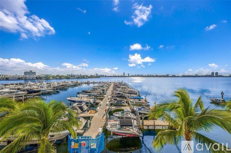 A marina with boats docked and palm trees in the foreground.
