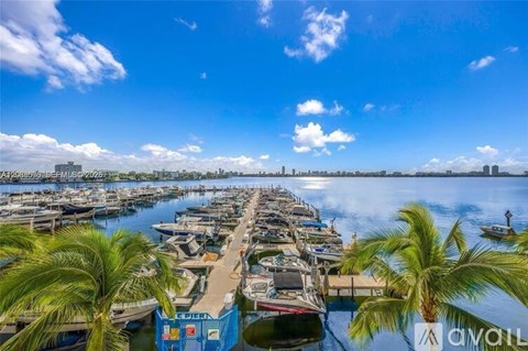 A marina with boats docked and palm trees in the foreground.