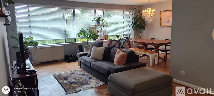4501 Arlington Boulevard 2 Beds Condo for Rent - Photo gallery 4