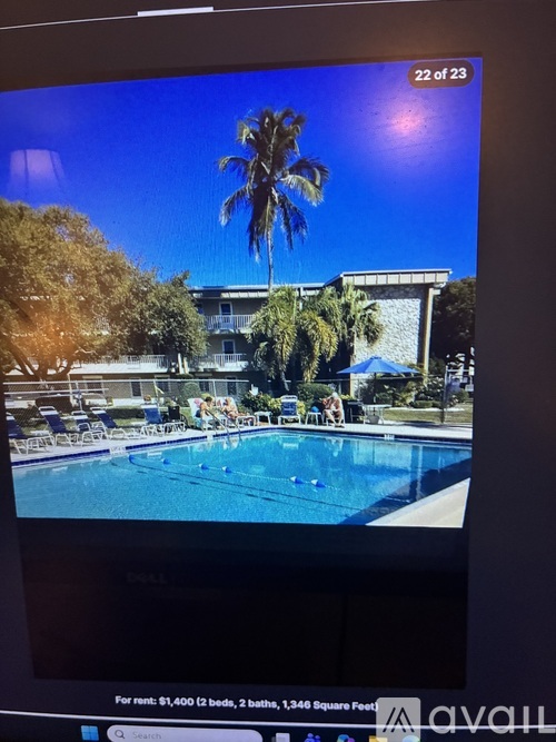 A screen shows a pool with a palm tree and a building in the background.