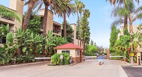 A small building with a red roof is surrounded by palm trees.