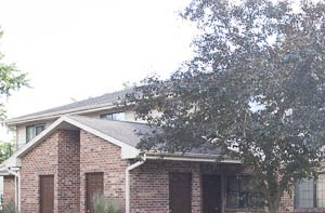 a house with a tree in the front of it