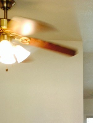 A room with a ceiling fan and a doorway leading to another room.