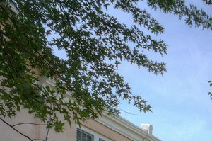 exterior of entrance to property and courtyard
