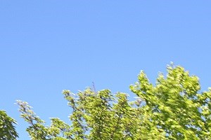 Photos And Video Of Westhaven Apartments In Seattle Wa