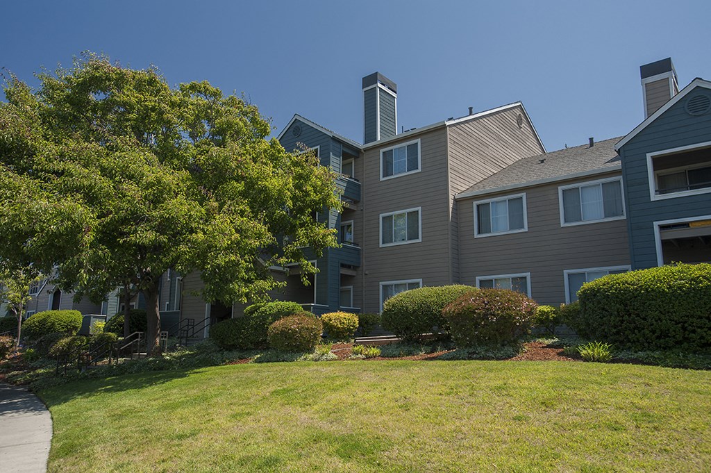 an apartment building with a lawn and trees in front of it