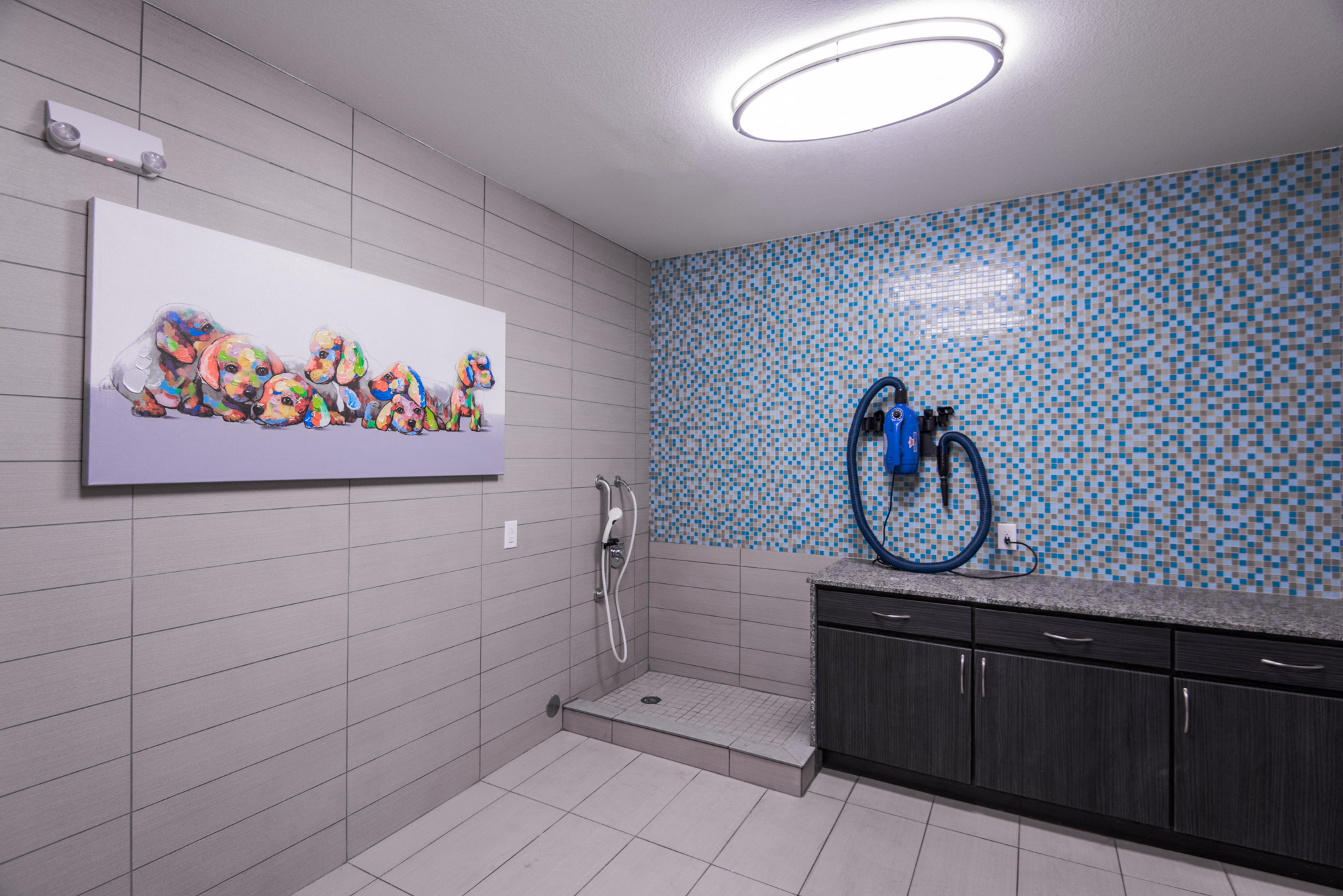 Hartley Flats - Denver, CO - pet wash station