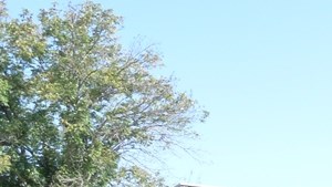 Rivers Edge Apartments In Dayton Oh Rentcafe