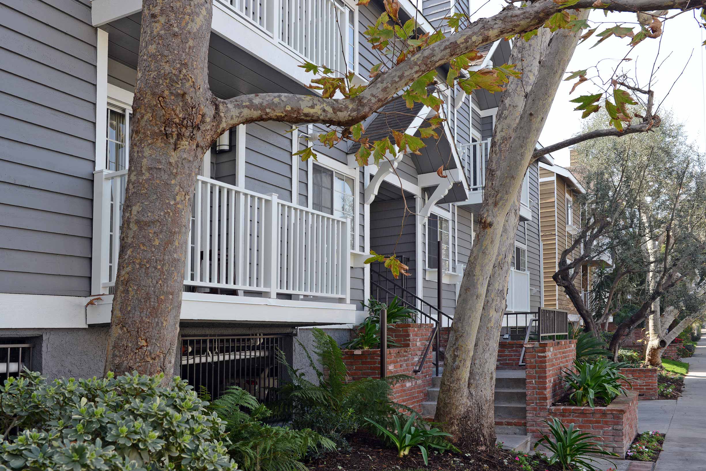Cape Cod Garden Apartments In North Hollywood Ca
