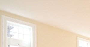 527 Mt Prospect Apartments In Newark Nj